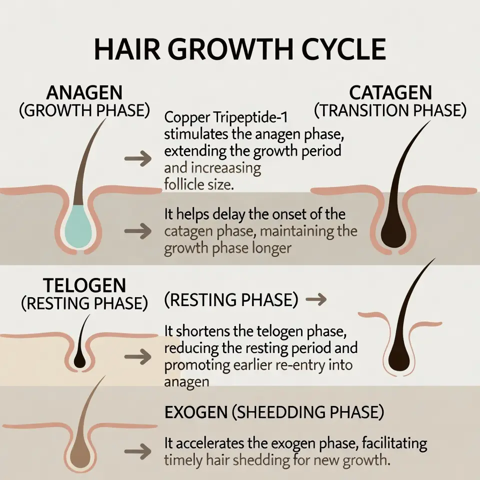 copper tripeptide-1 clinical literacy resource image